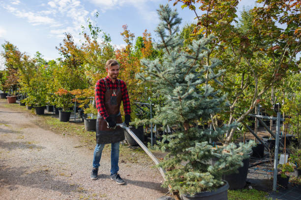 Best Fruit Tree Pruning  in Val Verde Park, TX